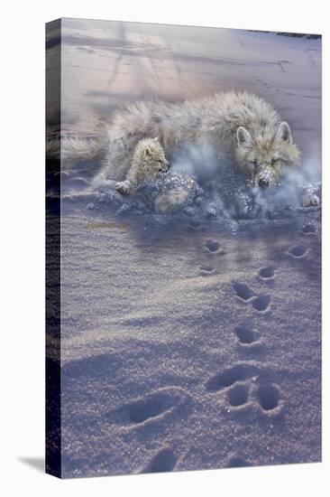 Arctic Tracks-Gordon Semmens-Stretched Canvas