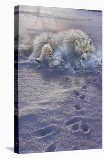 Arctic Tracks-Gordon Semmens-Stretched Canvas