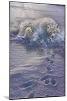 Arctic Tracks-Gordon Semmens-Mounted Giclee Print