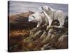 Arctic Warriors-Trevor V. Swanson-Stretched Canvas