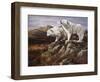 Arctic Warriors-Trevor V. Swanson-Framed Premium Giclee Print