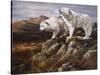 Arctic Warriors-Trevor V. Swanson-Stretched Canvas