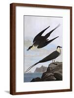 Arctic Yager-John James Audubon-Framed Art Print