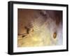 Arcuate Graben System of Noctis Labyrinthus on Mars-Michael Benson-Framed Photographic Print