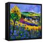 Ardennes 883101-Pol Ledent-Framed Stretched Canvas