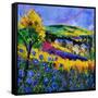 Ardennes 883101-Pol Ledent-Framed Stretched Canvas