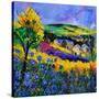 Ardennes 883101-Pol Ledent-Stretched Canvas