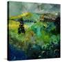 Ardennes 8841-Pol Ledent-Stretched Canvas