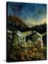 Ardennes Belgium 45-Pol Ledent-Stretched Canvas