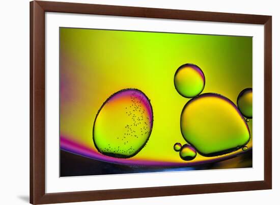 Are You Contagious-Heidi Westum-Framed Photographic Print