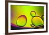 Are You Contagious-Heidi Westum-Framed Photographic Print