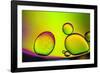 Are You Contagious-Heidi Westum-Framed Photographic Print