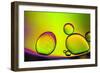 Are You Contagious-Heidi Westum-Framed Photographic Print