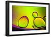 Are You Contagious-Heidi Westum-Framed Photographic Print