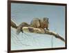 Are You Nuts-Rusty Frentner-Framed Giclee Print