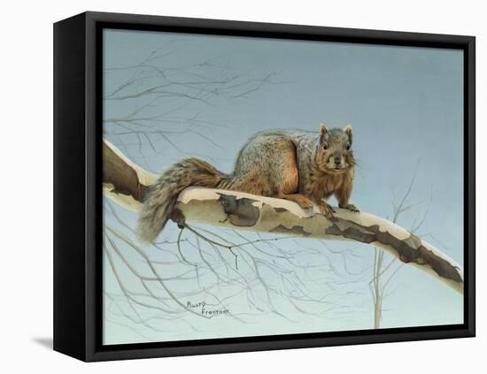 Are You Nuts-Rusty Frentner-Framed Stretched Canvas