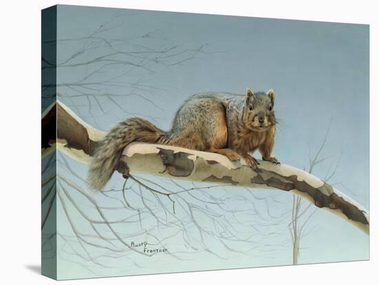 Are You Nuts-Rusty Frentner-Stretched Canvas