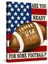 Are You Ready for Some Football-Laurie Korsgaden-Stretched Canvas