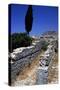 Area around Acropolis of Ancient City of Lixus, Morocco-null-Stretched Canvas