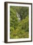 Area around Nanue Falls and stream, Hakalau, Hamakua Coast, Big Island, Hawaii-Stuart Westmorland-Framed Photographic Print