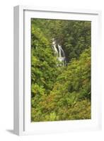 Area around Nanue Falls and stream, Hakalau, Hamakua Coast, Big Island, Hawaii-Stuart Westmorland-Framed Photographic Print