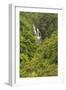 Area around Nanue Falls and stream, Hakalau, Hamakua Coast, Big Island, Hawaii-Stuart Westmorland-Framed Photographic Print