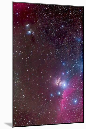 Area around the Belt of Orion, with the Horsehead and Flame Nebula-null-Mounted Photographic Print