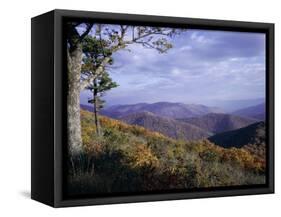 Area Near Loft Mountain, Shenandoah National Park, Virginia, USA-James Green-Framed Stretched Canvas