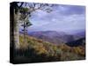 Area Near Loft Mountain, Shenandoah National Park, Virginia, USA-James Green-Stretched Canvas