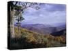 Area Near Loft Mountain, Shenandoah National Park, Virginia, USA-James Green-Stretched Canvas