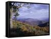 Area Near Loft Mountain, Shenandoah National Park, Virginia, USA-James Green-Framed Stretched Canvas