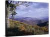 Area Near Loft Mountain, Shenandoah National Park, Virginia, USA-James Green-Stretched Canvas