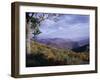 Area Near Loft Mountain, Shenandoah National Park, Virginia, USA-James Green-Framed Premium Photographic Print