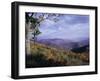 Area Near Loft Mountain, Shenandoah National Park, Virginia, USA-James Green-Framed Premium Photographic Print