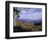 Area Near Loft Mountain, Shenandoah National Park, Virginia, USA-James Green-Framed Photographic Print