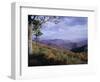 Area Near Loft Mountain, Shenandoah National Park, Virginia, USA-James Green-Framed Photographic Print