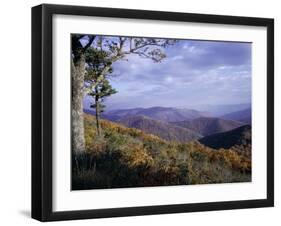 Area Near Loft Mountain, Shenandoah National Park, Virginia, USA-James Green-Framed Photographic Print