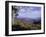 Area Near Loft Mountain, Shenandoah National Park, Virginia, USA-James Green-Framed Photographic Print