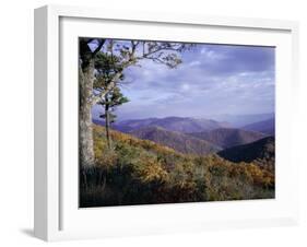 Area Near Loft Mountain, Shenandoah National Park, Virginia, USA-James Green-Framed Photographic Print