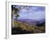 Area Near Loft Mountain, Shenandoah National Park, Virginia, USA-James Green-Framed Photographic Print