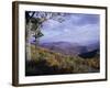 Area Near Loft Mountain, Shenandoah National Park, Virginia, USA-James Green-Framed Photographic Print