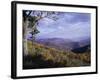 Area Near Loft Mountain, Shenandoah National Park, Virginia, USA-James Green-Framed Photographic Print