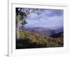 Area Near Loft Mountain, Shenandoah National Park, Virginia, USA-James Green-Framed Photographic Print