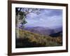 Area Near Loft Mountain, Shenandoah National Park, Virginia, USA-James Green-Framed Photographic Print