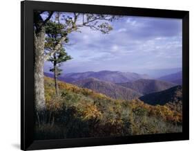 Area Near Loft Mountain, Shenandoah National Park, Virginia, USA-James Green-Framed Photographic Print