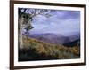 Area Near Loft Mountain, Shenandoah National Park, Virginia, USA-James Green-Framed Photographic Print