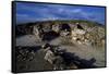 Area of Basilicas, Ancient City of Cannae, Battle of Cannae, Puglia, Italy-null-Framed Stretched Canvas