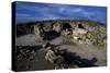 Area of Basilicas, Ancient City of Cannae, Battle of Cannae, Puglia, Italy-null-Stretched Canvas