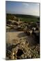 Area of Basilicas, Ancient City of Cannae, Battle of Cannae, Puglia, Italy-null-Mounted Giclee Print