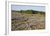 Area of Felled Non-Native Plantation, Flow Country, Highland, Scotland, UK-Mark Hamblin-Framed Photographic Print